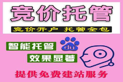 专业SEM代运营公司案例分析